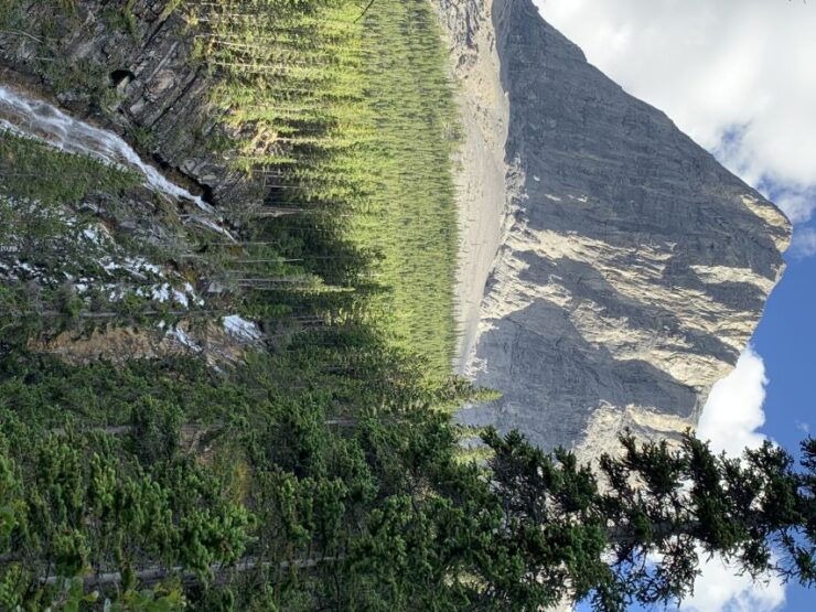 Canmore: Banff Park Safari Drive & Nature Walk - 4hrs - Full Description