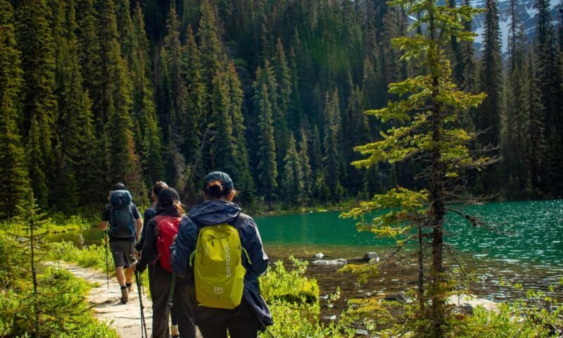 Canmore/Banff: Premium hiking tours in Banff region - Discover the Highlights of the Banff Region