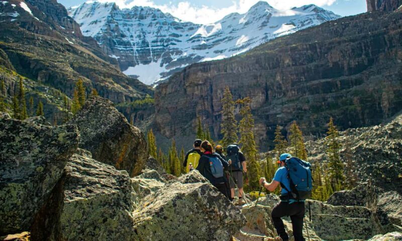 Canmore/Banff: Premium hiking tours in Banff region - What Real Travelers Say