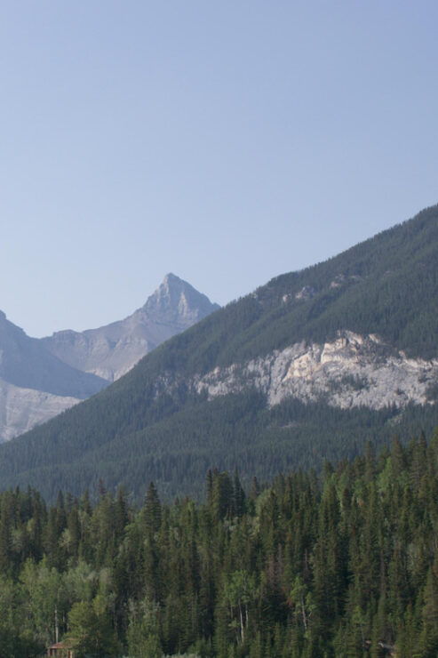 Canmore: Bow River Scenic Float Tour - Good To Know