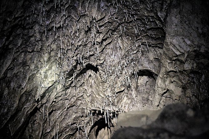 Canmore Caving Explorer Tour - Cancellation Policy