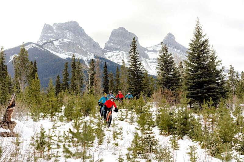 Canmore: Explore Winter Wildlife Tracks - 2hr Nature Walk - Introduction to the Canmore Wildlife Tracks Walk