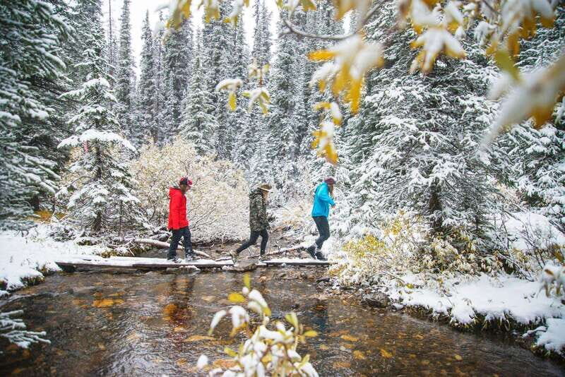 Canmore: Explore Winter Wildlife Tracks - 2hr Nature Walk - Why This Tour Offers Great Value