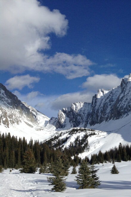 Canmore: Kananaskis Country Snowshoe Tour - Snowshoeing Through the Landscape