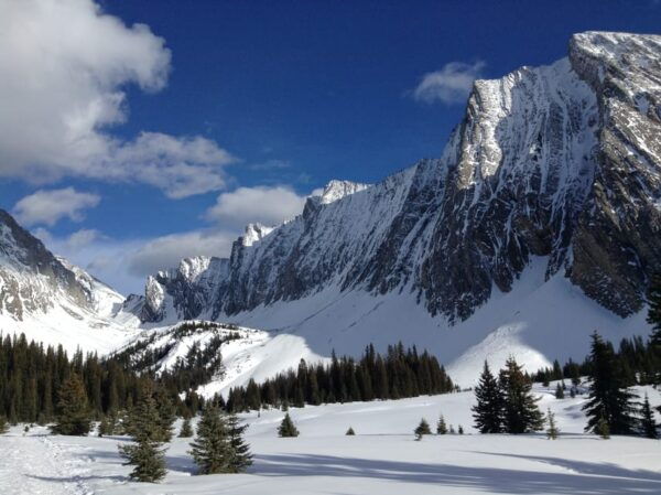Canmore: Kananaskis Country Snowshoe Tour - Enjoying the Alpine Lake Views