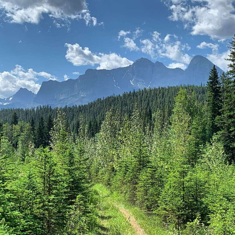 Canmore: LOST TOWNS and Untold Stories - Hiking Tour 3hrs - An In-Depth Look at the Lost Towns and Untold Stories Tour