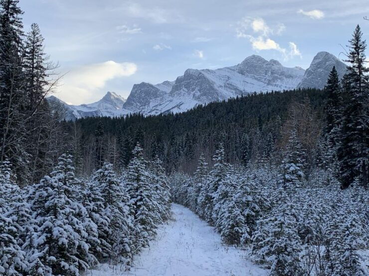 Canmore: Lost Towns and Untold Stories - Hiking Tour 3hrs - Booking Details