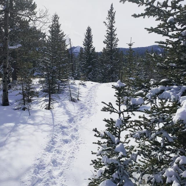 Canmore: NEW - Famous Mountains / Photo Safari Drive - 4hrs - What to Bring