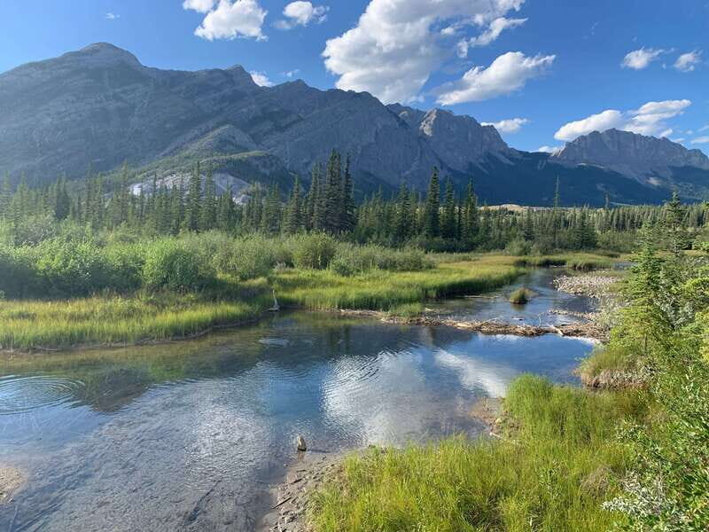 Canmore: PRIVATE SAFARI Drive to BANFF Park & Nature Walk - What Makes This Tour Stand Out