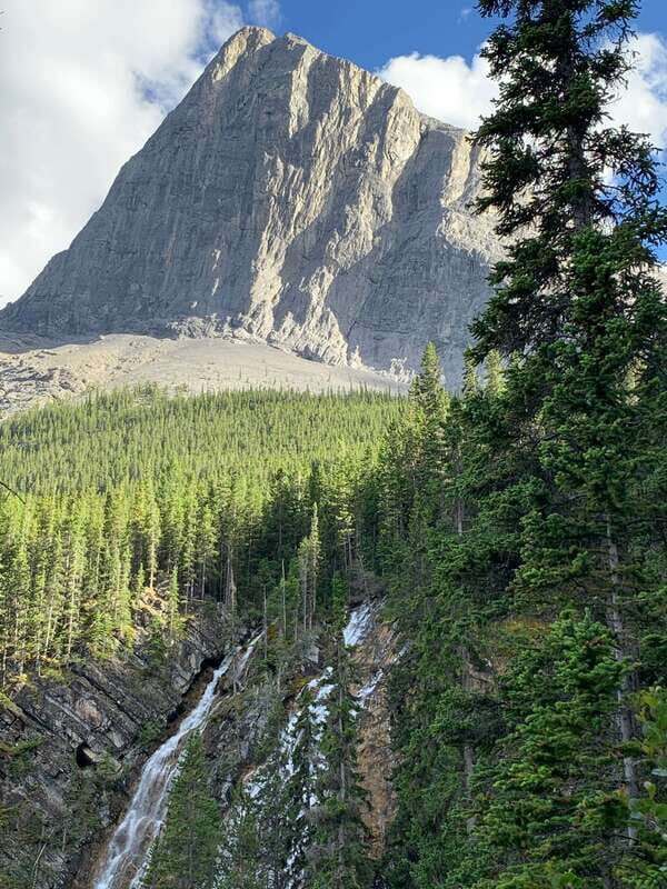 Canmore: PRIVATE SAFARI Drive to BANFF Park & Nature Walk - Who This Tour Is Best For