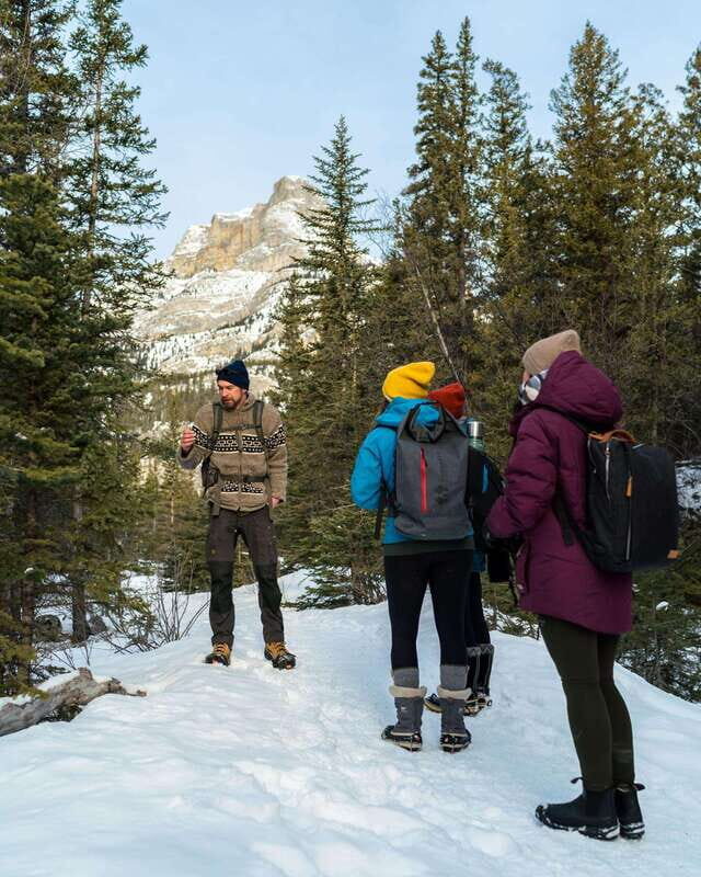 Canmore: The Winter Wonderland Hiking Tour + Transportation - Practical Tips for Your Trip
