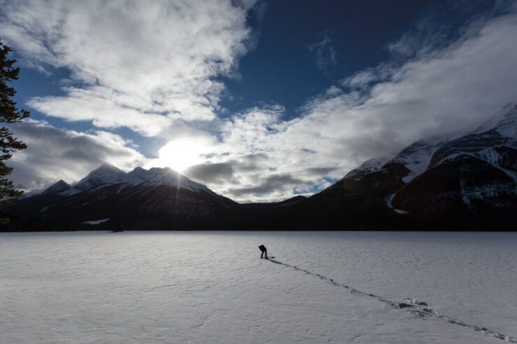 Canmore: Wilderness and Wildlife - Hiking Tours - Activity Details