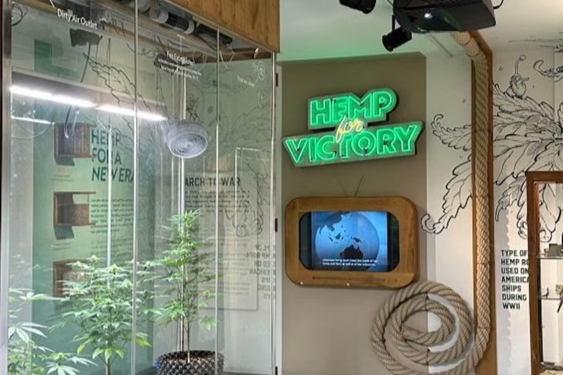 Cannabis Museum Amsterdam Ticket - What to know before you go