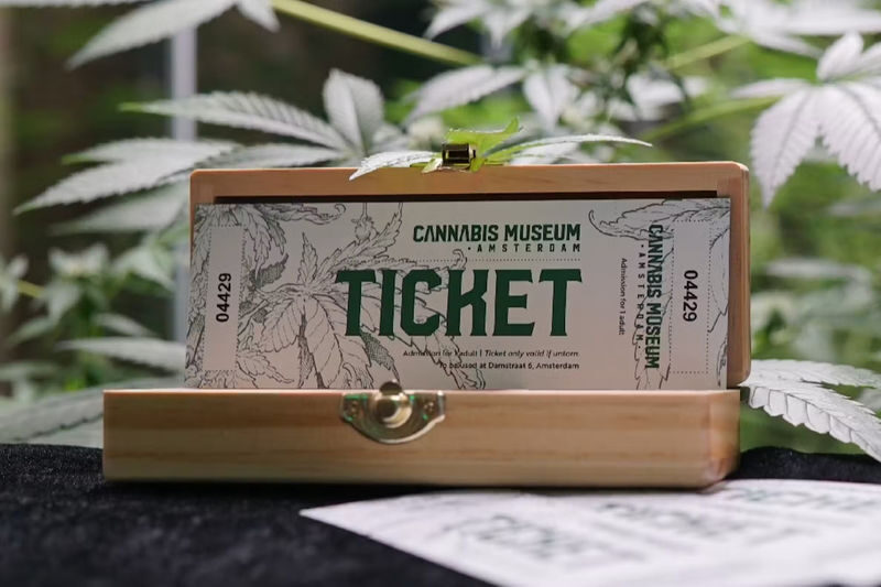 Cannabis Museum Amsterdam Ticket - Put the ticket price in perspective