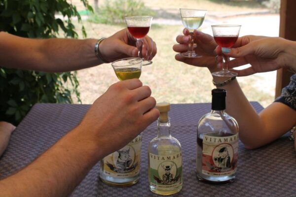 Cannara: Herbal Liqueur Tasting With Food Pairing - Experience in Umbrian Countryside
