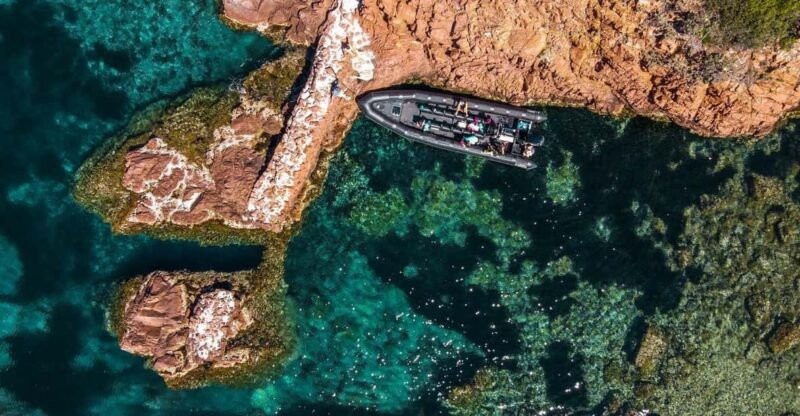 Cannes: 2.5-Hour Esterel Calanques Boat Excursion - Good To Know