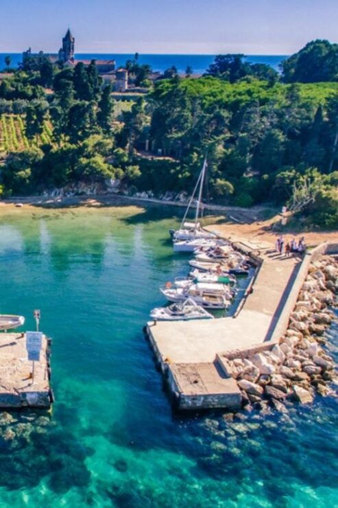 Cannes: Boat Trip Without a License to the Lerins Islands - Good To Know