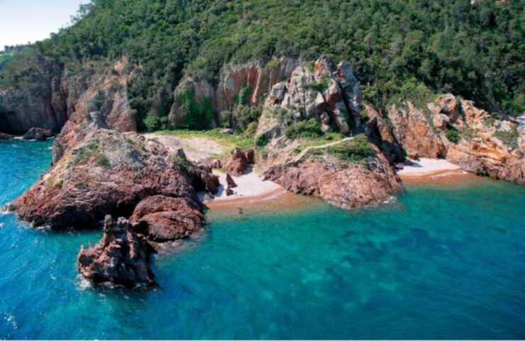 Cannes: Boat Trip Without a License to the Lerins Islands - Highlights