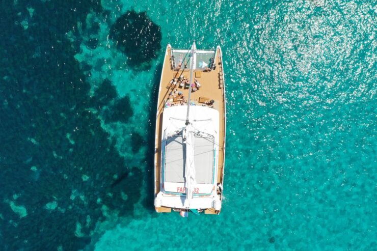 Cannes: Half-Day Catamaran Cruise - Activity Details