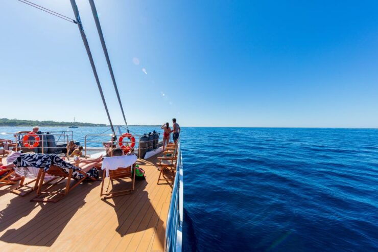 Cannes: Half-Day Catamaran Cruise With Lunch - Activity Details