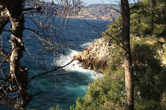 Cannes Large Group Shore Excursion - Pricing and Availability Details