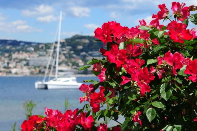 Cannes: Private Trip to Grasse, Antibes, & St. Paul De Vence - The Sum Up