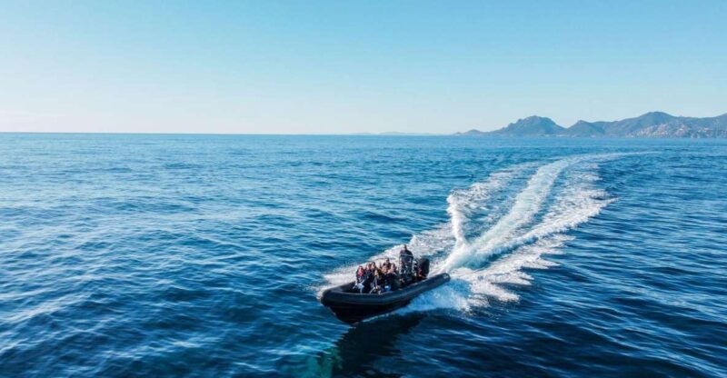 Cannes: Scenic Coves RIB Boat Tour - Good To Know