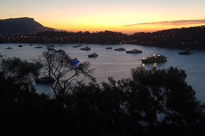 Cannes Shore Excursion : Private Custom Tour French Riviera Highlights With Local Guide - Pricing and Terms