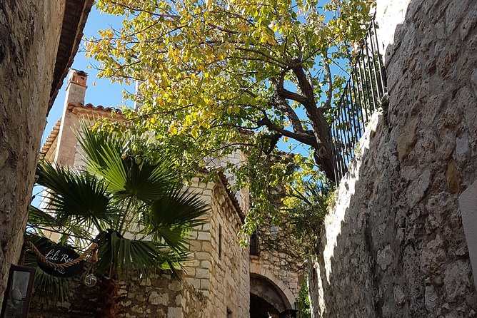 Cannes Shore Excursion : Private Custom Tour French Riviera Highlights With Local Guide - Common Questions