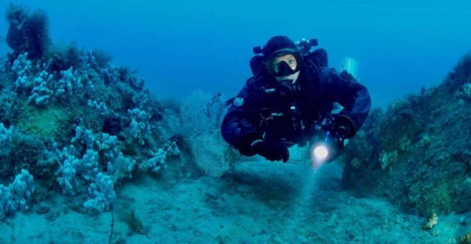 Cannigione: Open Water Diver Course - Pricing Information