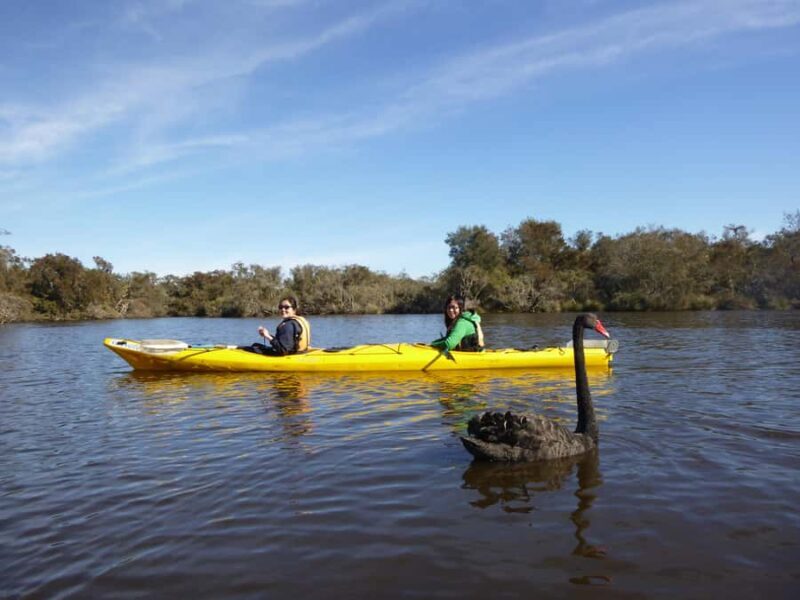 Canning River Half-Day Kayak Wildlife Tour - Good To Know
