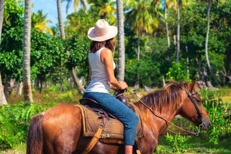 Caño Hondo: Horseback Riding and Boat Tour in Los Haitises - Good To Know