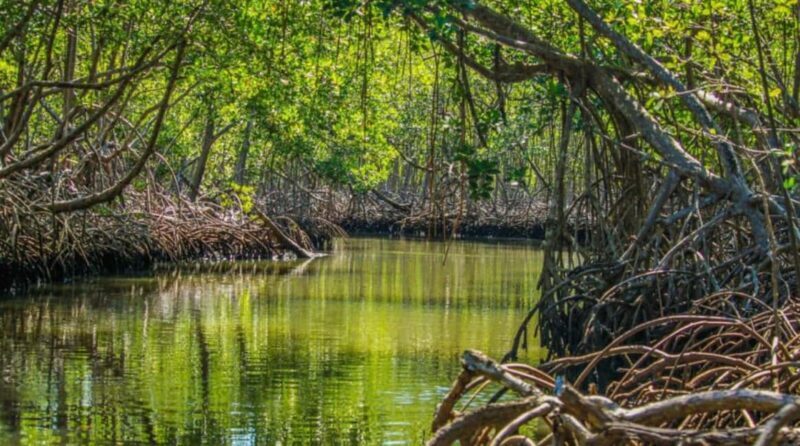 Cano Hondo Hotel : Overnight Stay & Kayak Tour Los Haitises - Final Thoughts