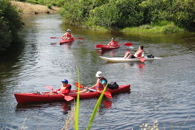 Canoe, Kayak, Paddleboard Rouge River - Self Guided Descent - Pricing and Booking Details