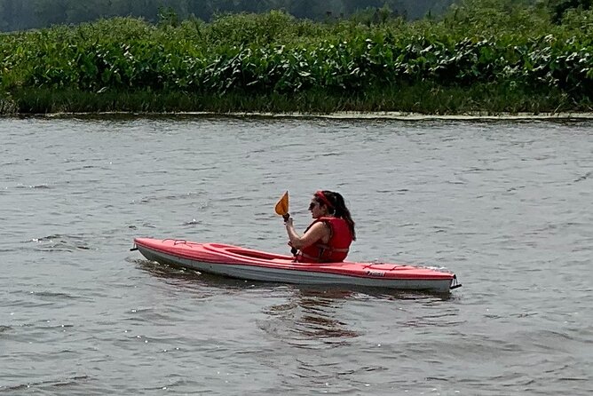 Canoe/Kayak Tour of Mississippi Wildlife & Fish Refuge - End Point