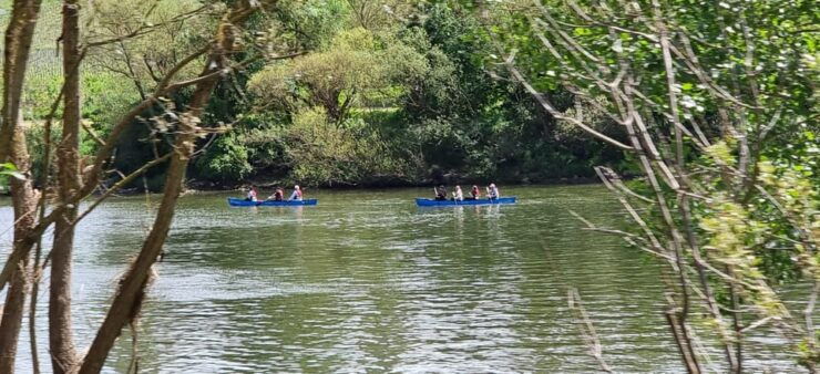 Canoe Rental Middle Moselle: 2-Hour Canoe Tour on the Moselle - Booking Information