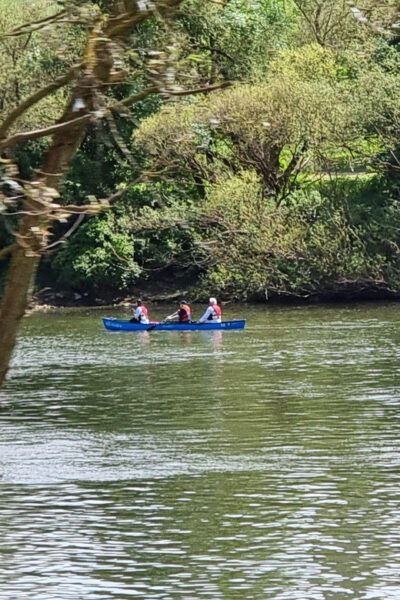 Canoe Rental Middle Moselle: 2-Hour Canoe Tour on the Moselle - Scenic Highlights