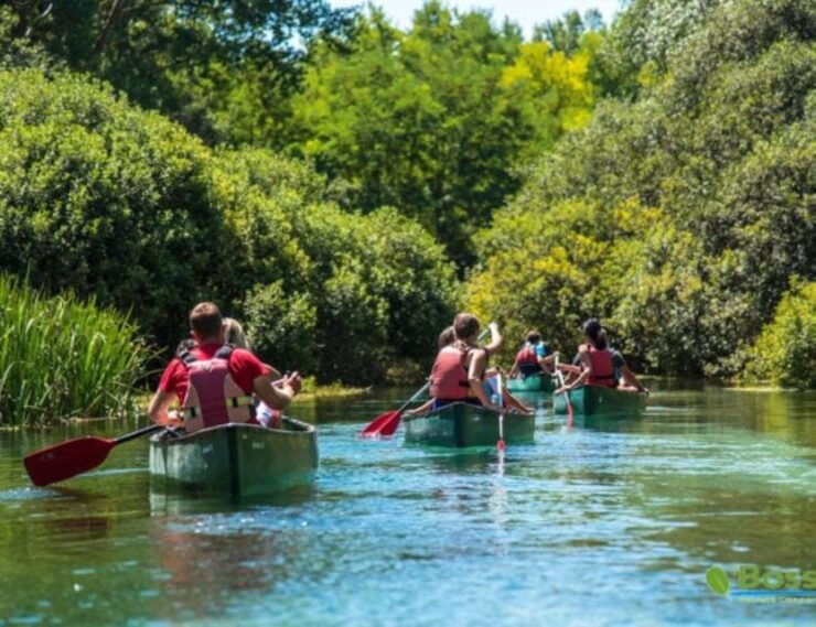 Canoe Ride on Piediluco Lake With Lunch - Experience Highlights