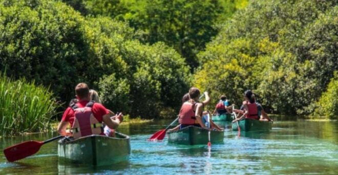 Canoe Ride on Piediluco Lake With Lunch - Activity Description
