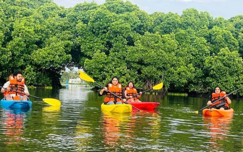 Canoe Ride through Mangroves in Kumbalangi From Cochin - The Sum Up