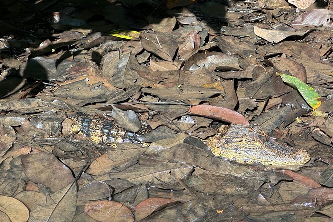 Canoe Tour at Tortuguero National Park - Additional Information