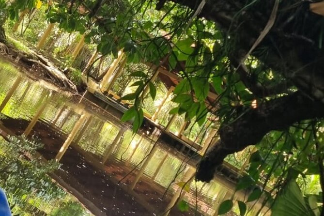 Canoe Tour in Tortuguero National Park - Tour Overview