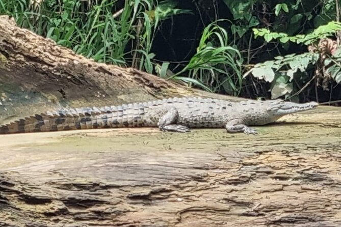 Canoe Tour in Tortuguero National Park - Location Details