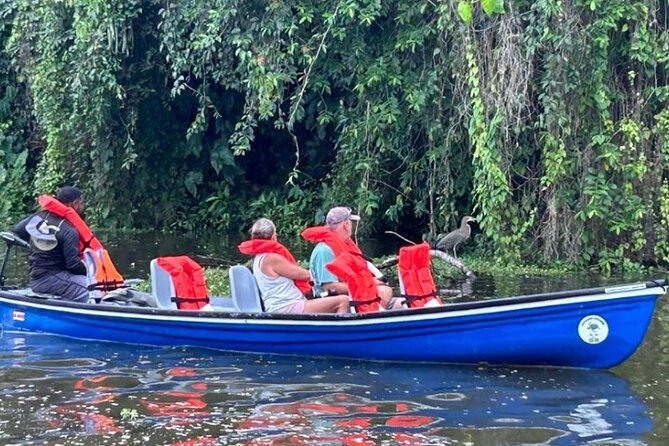 Canoe Tour in Tortuguero National Park - Meeting and End Point