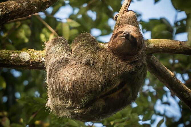 Canoe Tour in Tortuguero National Park Small Group - Location Details