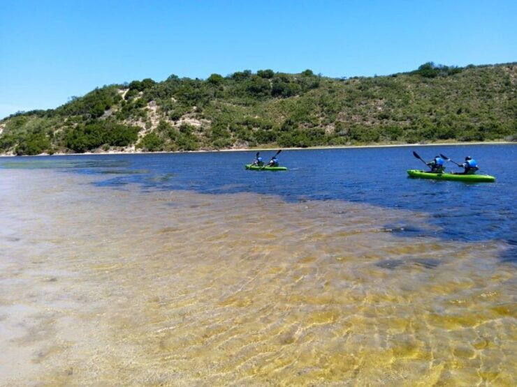 CANOEING IN SEDGEFIELD AT OYSTERS EDGE, GARDEN ROUTE - Language and Duration