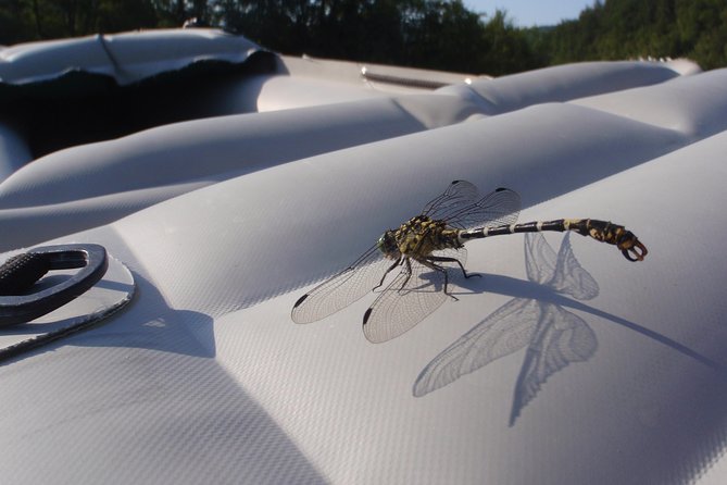 Canoeing/Kayaking on Kupa River, Croatia - Discovery Trip - The Sum Up