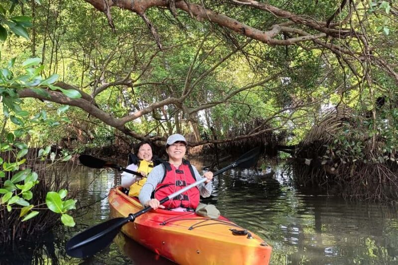Canoeing Mangrove Experience in Jakarta - FAQ