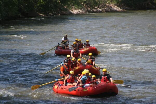 Cañon City: Family Float Rafting With Lunch, Photo & Wetsuit - Scenic Float and Wildlife Sightings
