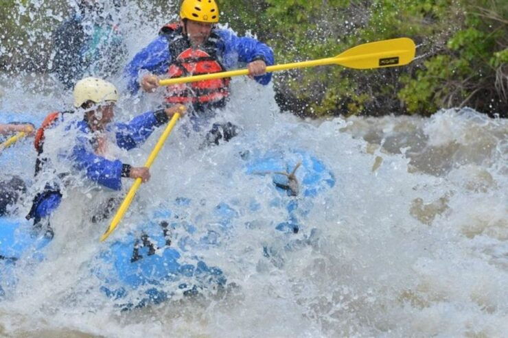 Cañon City: Half-Day Royal Gorge Whitewater Rafting Tour - Experience Highlights